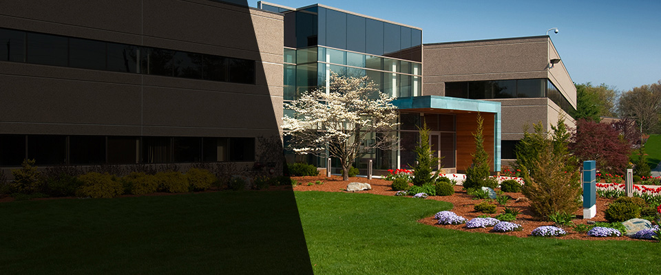Maple Plain Landscapers