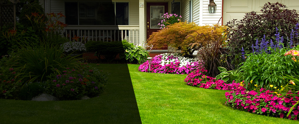 Maple Plain Landscapers