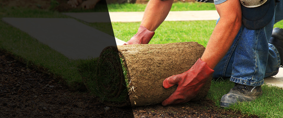 Maple Plain Landscapers